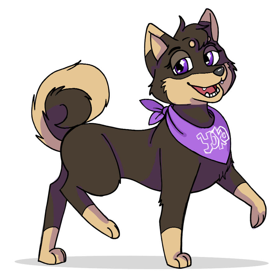 Yoko the Shiba Inu
